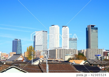 名古屋市　都市風景 42305524