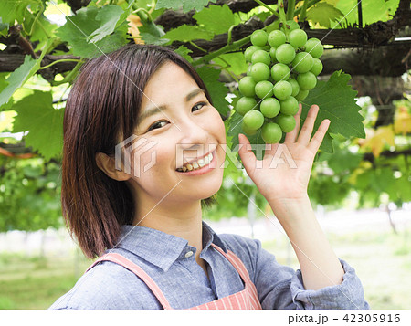 ぶどう園のぶどうに手を添える女性 42305916