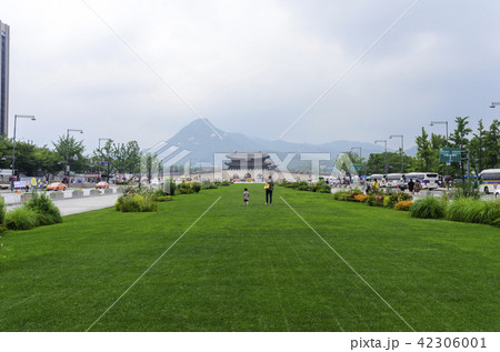 北岳山 植物 景福宮 42306001
