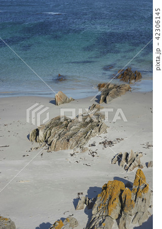 Beaches of the Falkland Islands 42306145