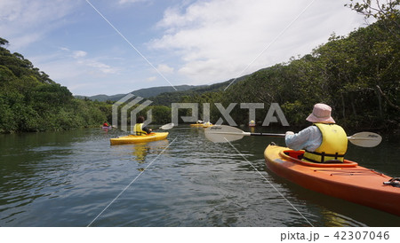 奄美大島・カヌー 奄美大島・カヌー 42307046