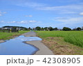 雨上がりの田園 42308905