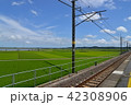 7月の田園の景色 42308906