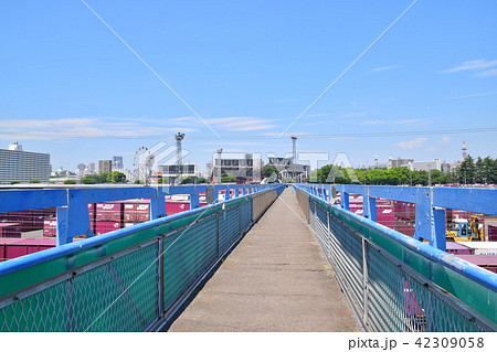楽天生命パーク宮城に通じる歩道橋 42309058