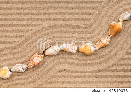 Frame made of seashell lying zigzag, on wavy sand. 42310038
