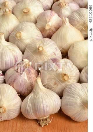 Garlic Garlic 42310066