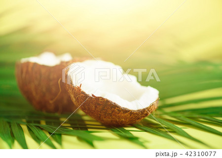 Coconut over tropical green palm leaves on yellow Coconut over tropical green palm leaves on yellow 42310077