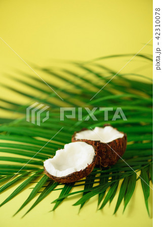 Coconut over tropical green palm leaves on yellow Coconut over tropical green palm leaves on yellow 42310078