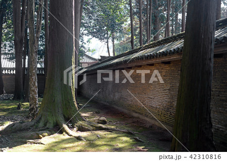 多田神社の築地塀-2 42310816