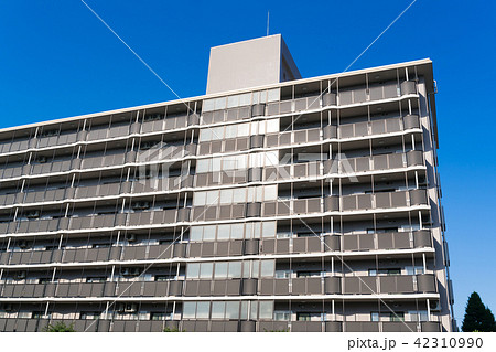 マンション・青空 マンション・青空 42310990
