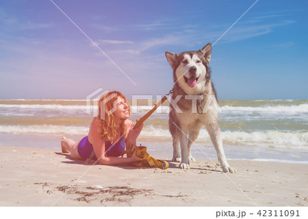 Huge husky dog and woman at beach 42311091