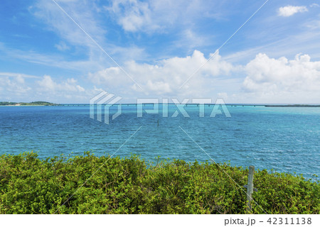 西平安名崎から見る池間大橋 西平安名崎から見る池間大橋 42311138