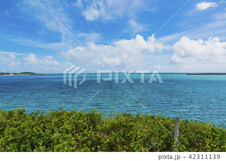 西平安名崎から見る池間大橋 42311139