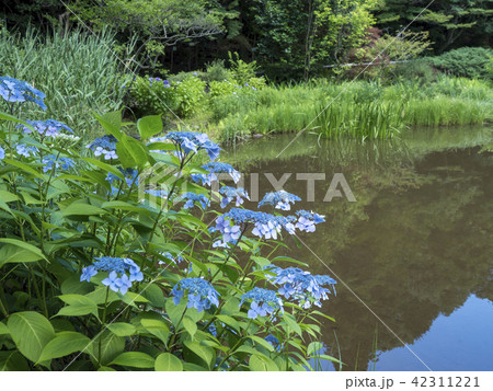 名古屋都市風景・初夏の東山公園 名古屋都市風景・初夏の東山公園 42311221
