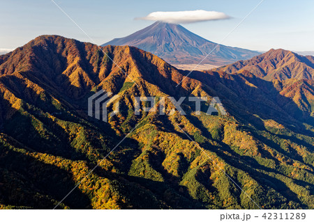 道志山地・今倉山から紅葉の御正体山・鹿留山と富士山 42311289