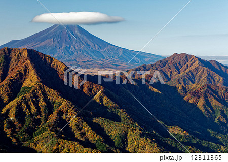 道志山地・今倉山から紅葉の御正体山・鹿留山と富士山 42311365