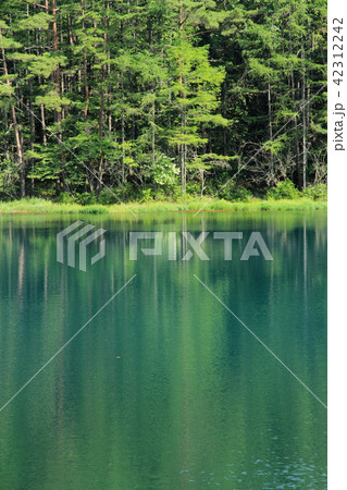 深緑の御射鹿池 42312242