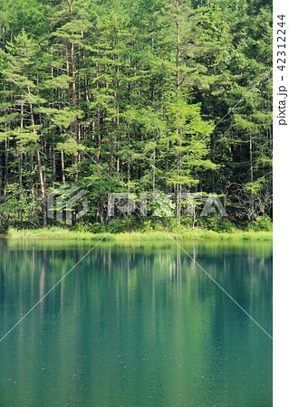 深緑の御射鹿池 42312244