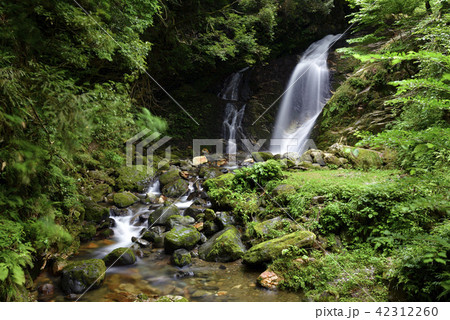 要滝(兵庫県美方郡) 要滝(兵庫県美方郡) 42312260