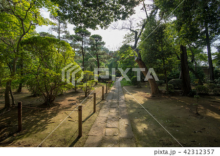 中院 境内 天台宗 川越市 中院 境内 天台宗 川越市 42312357
