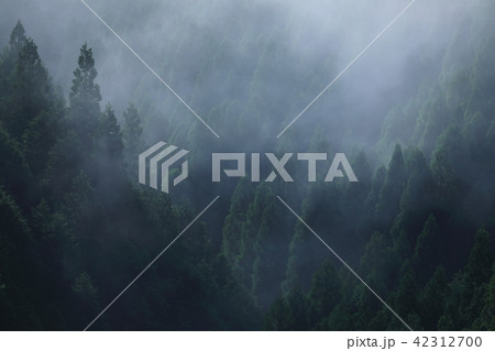 野迫川村 雲海 野迫川村 雲海 42312700