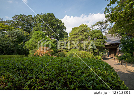 中院 境内 庭園 天台宗 川越市 中院 境内 庭園 天台宗 川越市 42312801