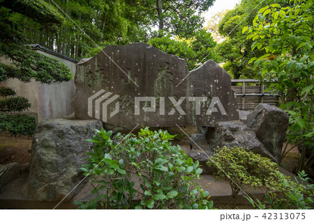 中院　境内　庭園　狭山茶発祥之地碑　天台宗　川越市　 42313075