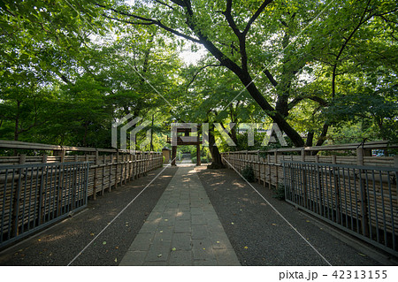 中院　境内　鐘楼　天台宗　川越市　 42313155