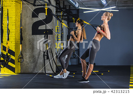 Sporty females are exercising with TRX straps indoors 42313215