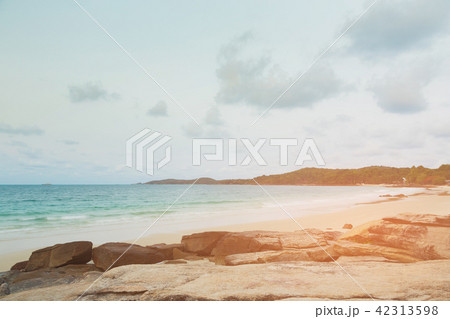 Natural sea coast sand beach skyline Natural sea coast sand beach skyline 42313598