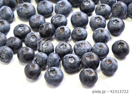 ブルーベリー ブルーベリー 42313722