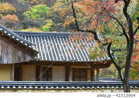 白羊寺 秋 紅葉 42313904