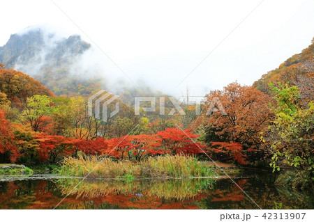 白羊寺 秋 紅葉 42313907