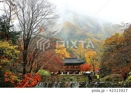 白羊寺 秋 紅葉 42313927