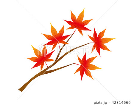 紅葉7 紅葉7 42314666