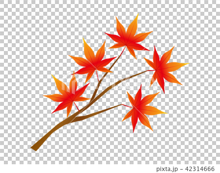 紅葉7 紅葉7 42314666