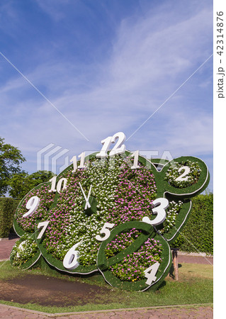 Clock design with flower in the park Clock design with flower in the park 42314876