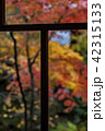 すりガラス越しの紅葉 42315133