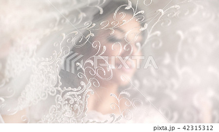 Close-up portrait of a pretty shy bride with veil 42315312