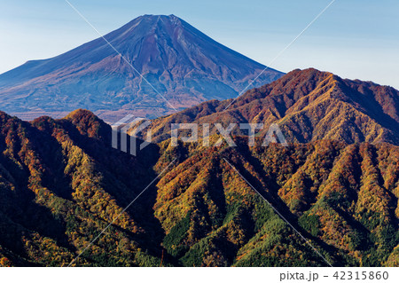 道志・二十六夜山から見る紅葉の鹿留山と富士山 道志・二十六夜山から見る紅葉の鹿留山と富士山 42315860