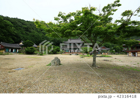 宝林寺 宗教 仏教 42316418