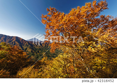 道志 二十六夜山付近の紅葉と富士山の写真素材