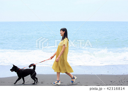 波打ち際を散歩 42316814