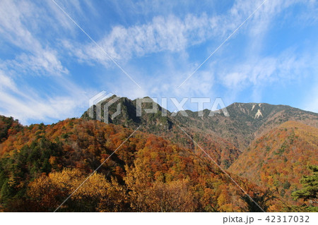 西沢渓谷　青空　抜ける空　鶏冠山　木賊山　紅葉 42317032