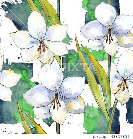 White amaryllis. Floral botanical flower. Seamless background pattern. White amaryllis. Floral botanical flower. Seamless background pattern. 42317352