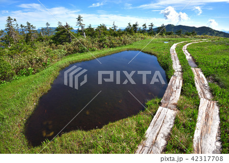 中門岳山頂の池塘 42317708