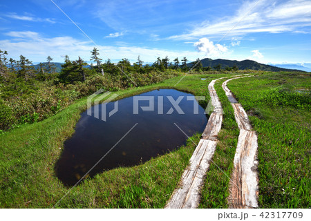 中門岳山頂の池塘 42317709