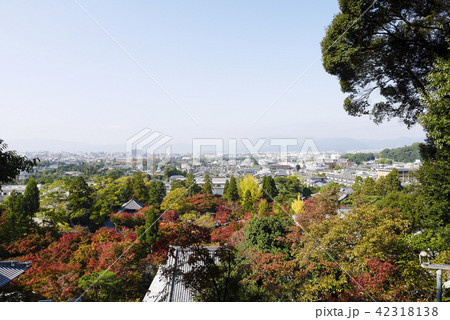 京都 42318138