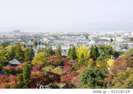 京都 42318139