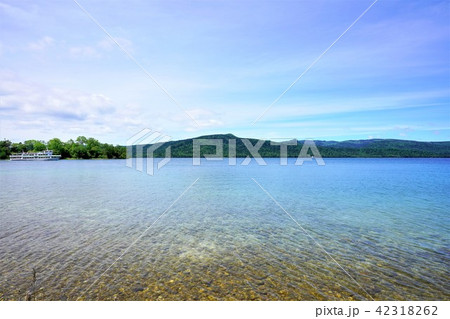 阿寒湖畔の初夏 42318262